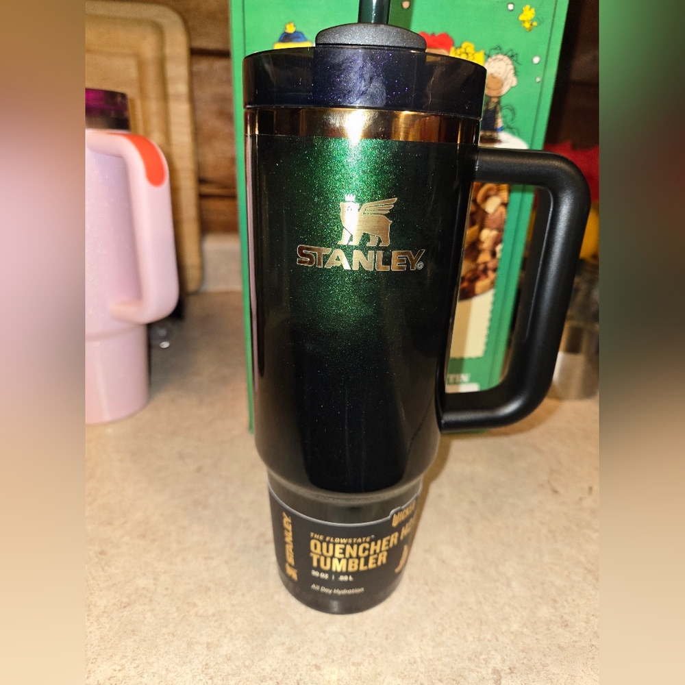 Wicked Stanley - Elphaba - 30oz